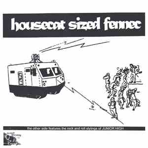 House Cat Sized Fennec, Junior High  - Split 7" album