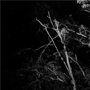 Jared Sagar - Xureii album
