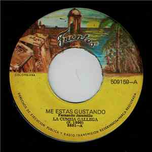 La Cumbia Gallega - Me Estás Gustando / El Calendario album