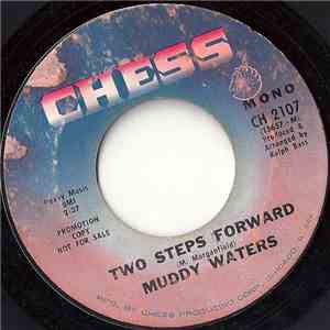 Muddy Waters - Two Steps Forward / Making Friends album