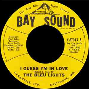 The Bleu Lights - I Guess I'm In Love album