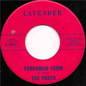 The Furys  - Parchman Farm album