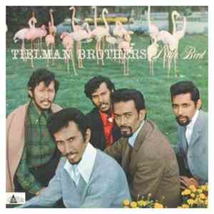 Tielman Brothers - Little Bird album