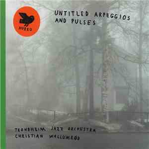 Trondheim Jazz Orchestra / Christian Wallumrød - Untitled Arpeggios And Pulses album