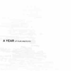 Various - A Year Of Mule Electronic album