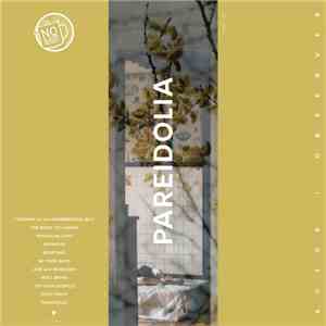 Actor|Observer - Pareidolia album