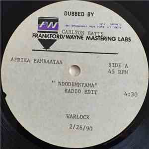 Afrika Bambaataa - Ndodemnyama album