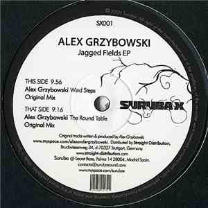 Alex Grzybowski - Jagged Fields EP album