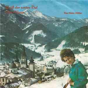 Alpenklang-Duo Johann Perwein-Rudi Celjar Und Die Grazer Idealisten - Grüß Das Schöne Tal... / Ave Maria ... album