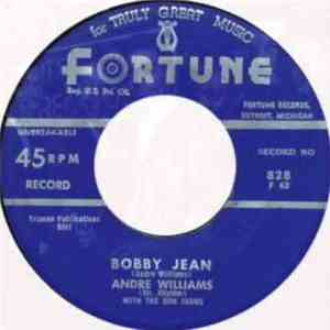 Andre Williams  With The Don Juans - It's All Over / Bobby Jean album