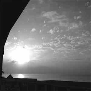 A.P - Vacu Sessions 29 album
