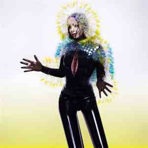 Björk - Vulnicura album