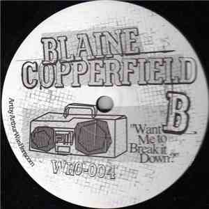 Blaine Copperfield - Gonna Party / Want Me To Break It Down? album