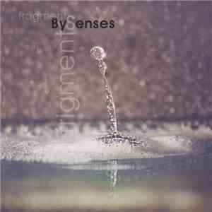 BySenses - Frigments​-​Fragments album