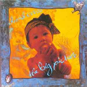 David Cross - The Big Picture album