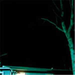 Doofgoblin - Char Lotties Ville album