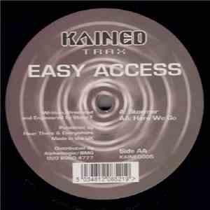 Easy Access - Stormer / Here We Go album