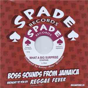 Ethiopians / Winston Shan - What A Big Surprise / Treasure Of Love album