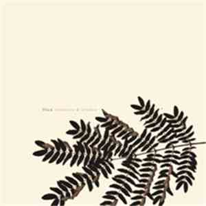 Flica - Windvane & Window album
