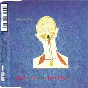 Fury In The Slaughterhouse - Milk And Honey album