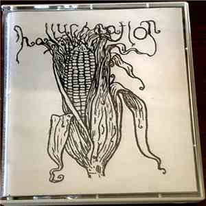 Hallucination  - In Hell They Found Peace album