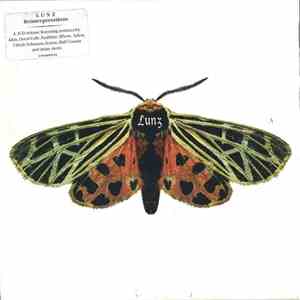 Lunz - Lunz Reinterpretations album