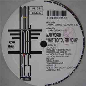 Mad World - What Do You Feel Now? album