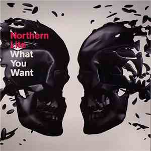 Northern Lite - What You Want album