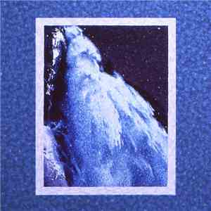 Plastic Flowers  - Heavenly album
