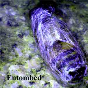 Ploof - Entombed album