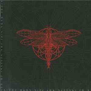 Sex Of Insects - Not This Song Again album