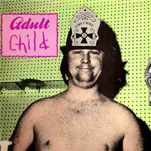 The Beach Boys - Adult Child album