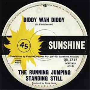 The Running Jumping Standing Still - Diddy Wah Diddy album