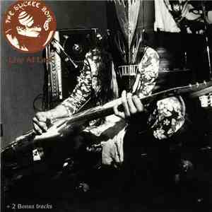 The Slickee Boys - Live At Last album