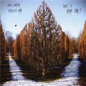 Tom Carter & Vanessa Arn - What Is Here For? album