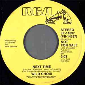 Wild Choir - Next Time album