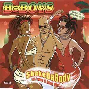 B-Boys - Shake Da Body "If I Was A Rich Girl..." album