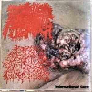 Botched Anastomosis J-Pouch, Labia Majora - Botched Anastomosis J-Pouch / Labia Majora album