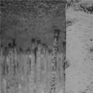 Chlorine Gargle - Stasis album