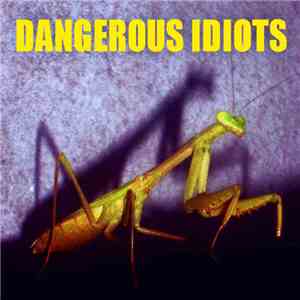 Dangerous Idiots - Dangerous Idiots album