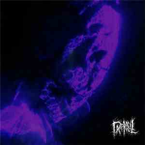 Darkcell - The Moon album