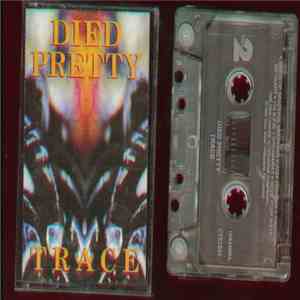 Died Pretty - Trace album
