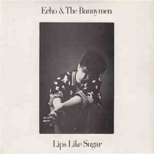 Echo & The Bunnymen - Lips Like Sugar album