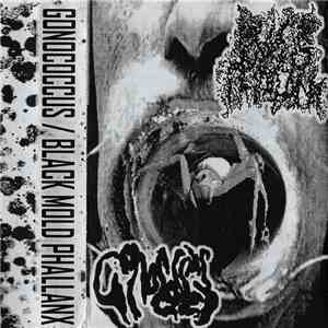 Gonococcus, Black Mold Phallanx - Gonococcus/Black Mold Phallanx album
