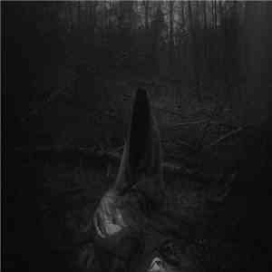Hiemal  - Solivagant Ghost Of Cimmerian Woods album