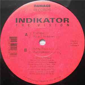 Indikator  - The Vision album