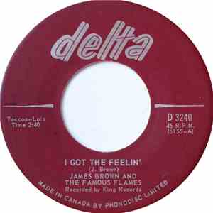 James Brown And The Famous Flames - I Got The Feelin' / If I Ruled The World album