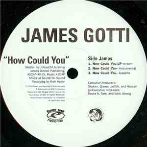 James Gotti - How Could You / Raise 'Em Up album