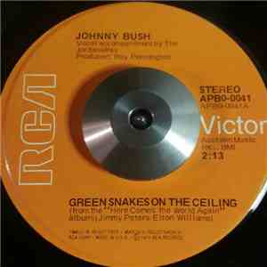 Johnny Bush - Green Snakes On The Ceiling / Drinkin' My Baby Right Out Of My mind album
