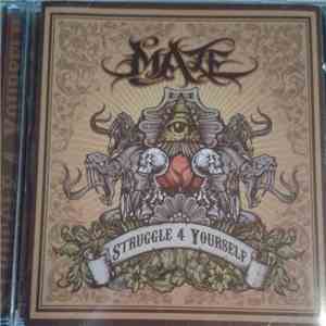 Maze  - Struggle 4 Yourself album